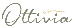 ottivia logo bg removed